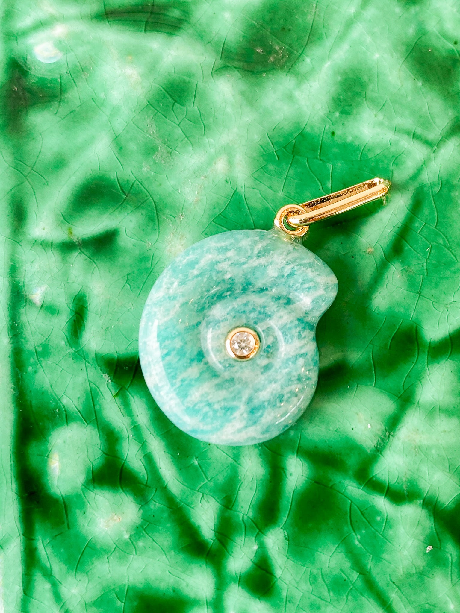 Nautilus Amazonite Charm