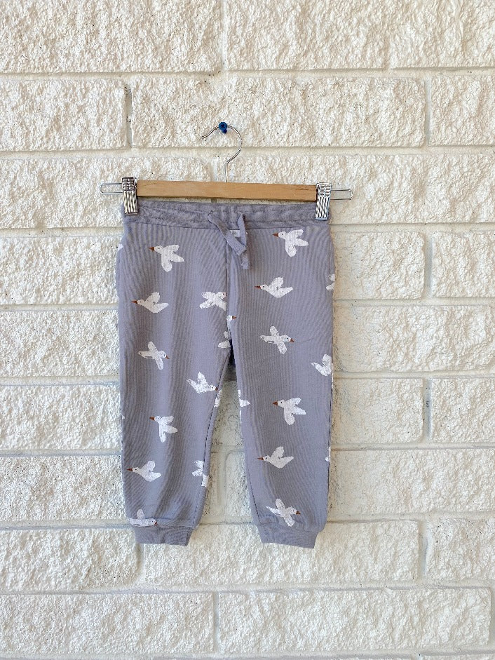 Jogger Pant - Birds