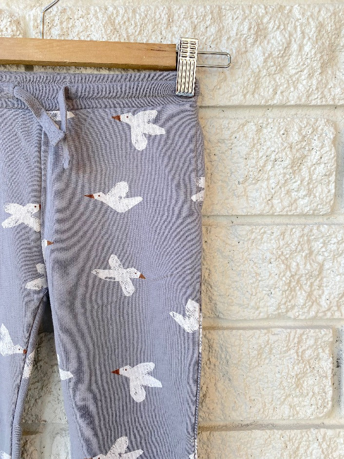Jogger Pant - Birds