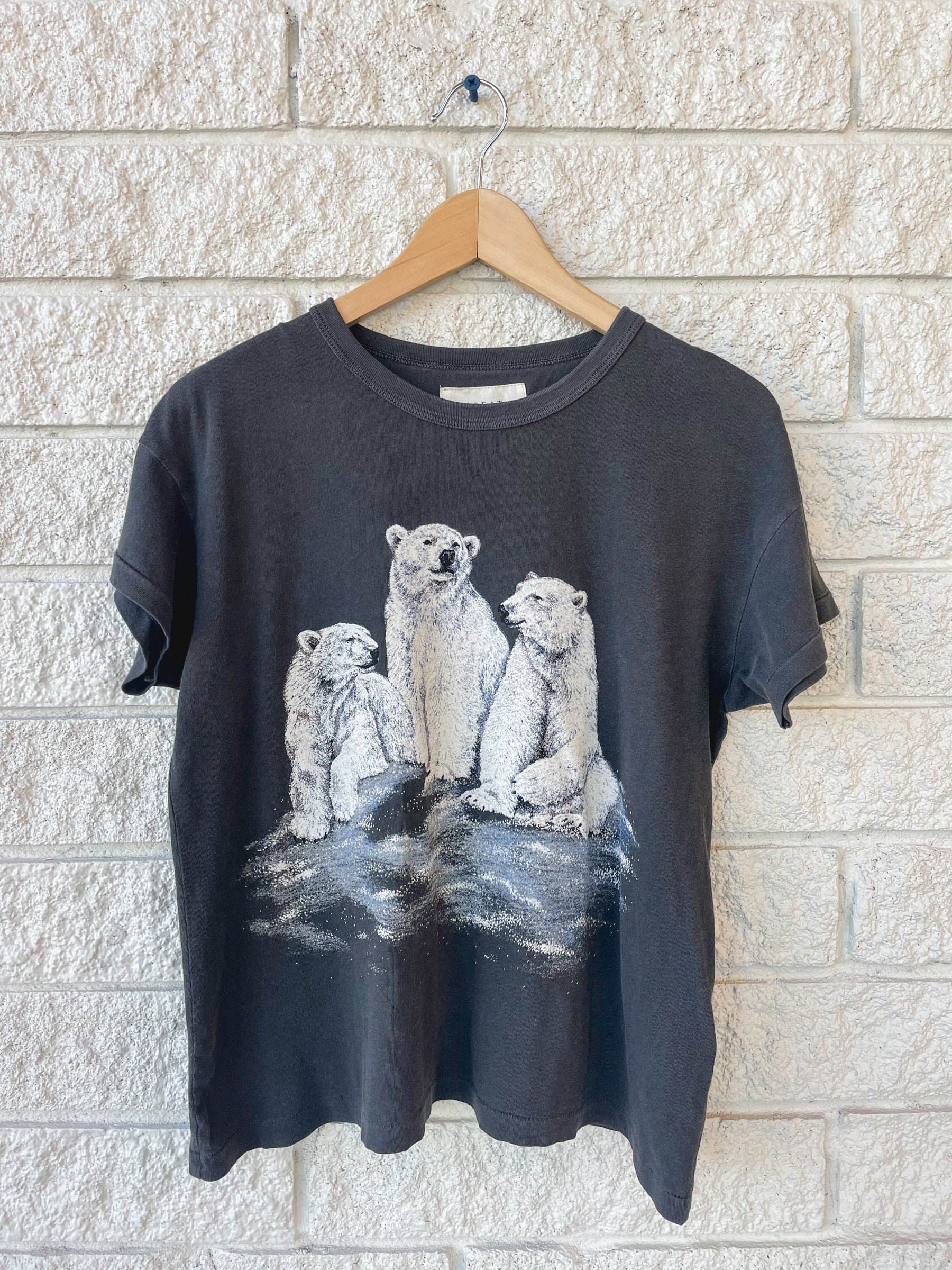 The Boxy Crew W/ Polar Bears Graphics