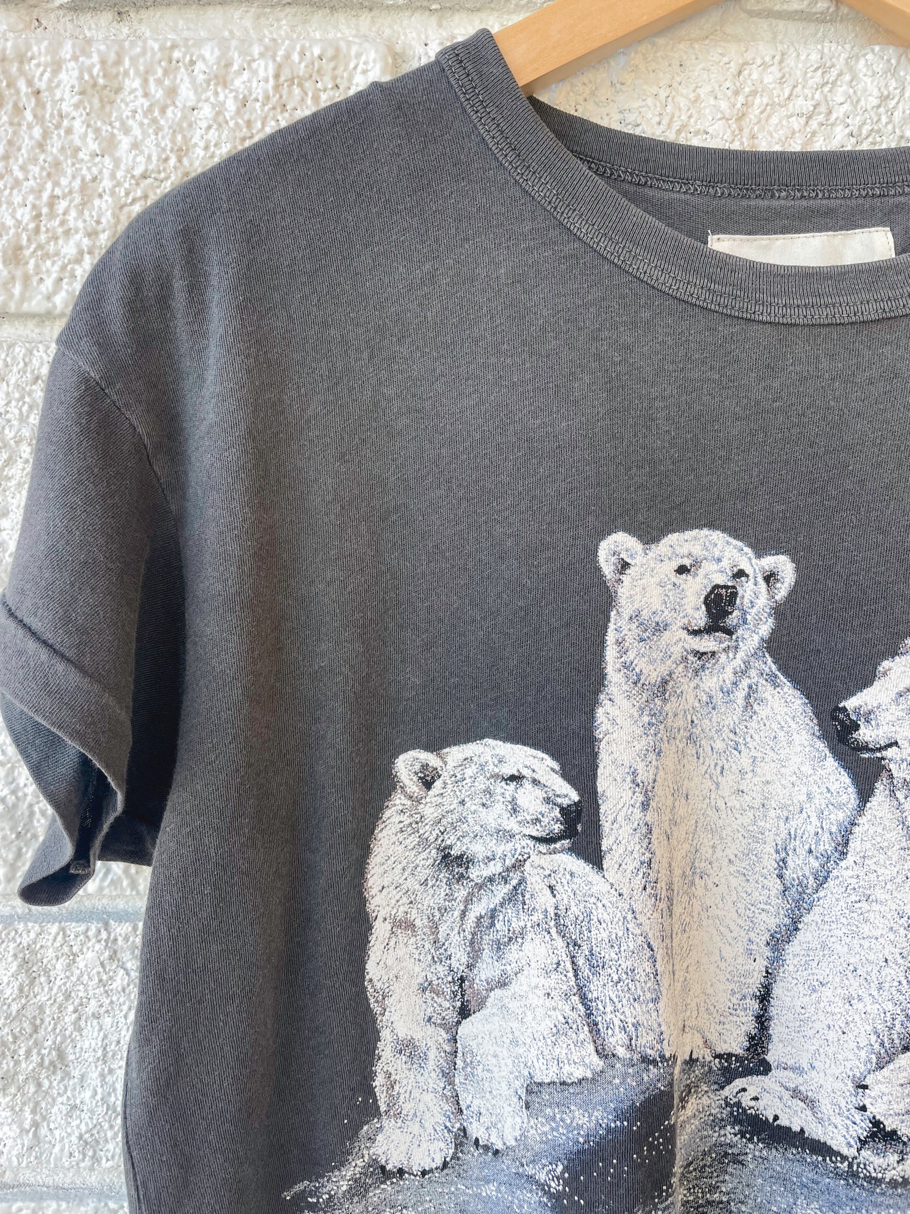 The Boxy Crew W/ Polar Bears Graphics