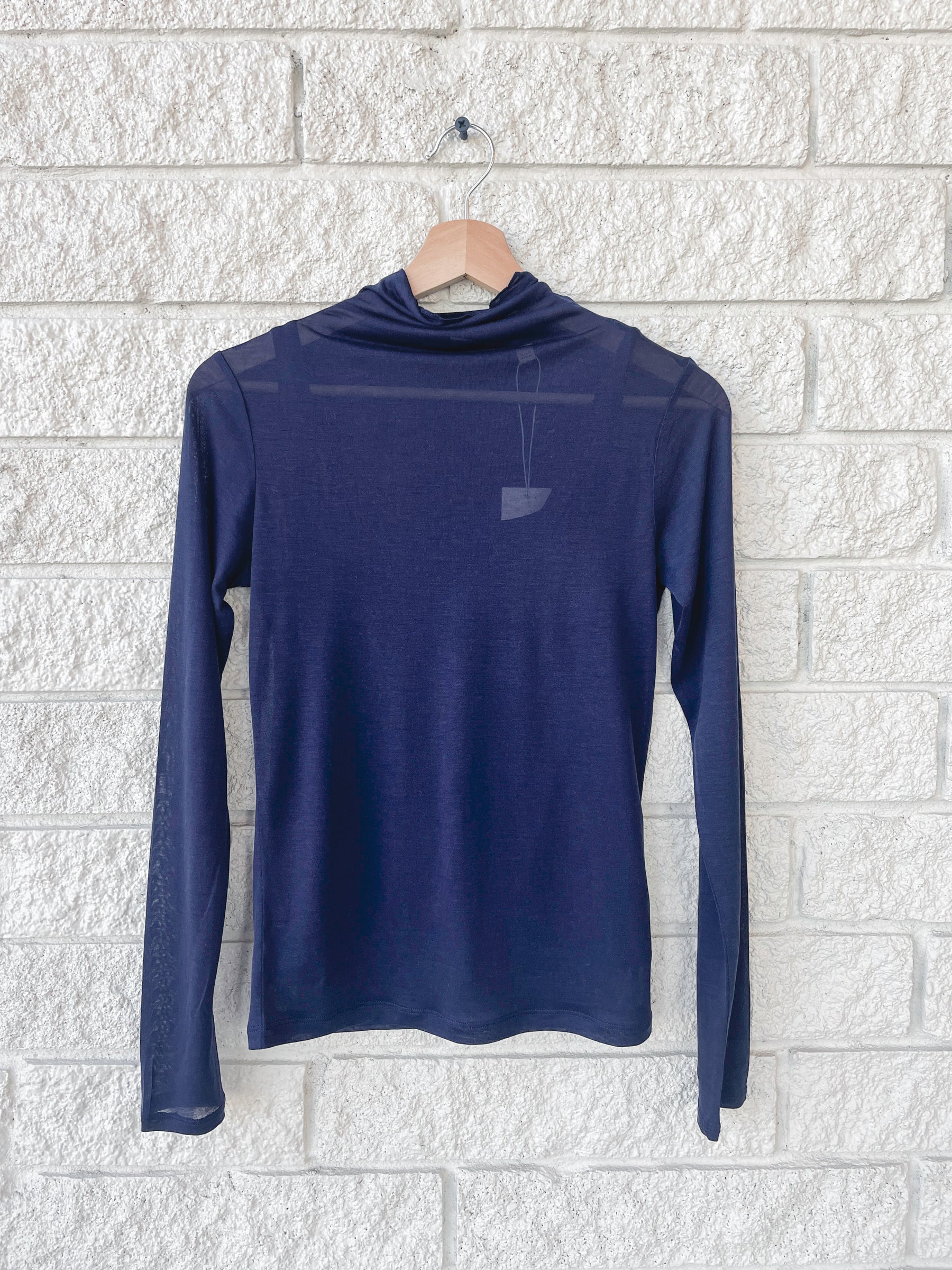 Sheer Long Sleeve Turtle Neck