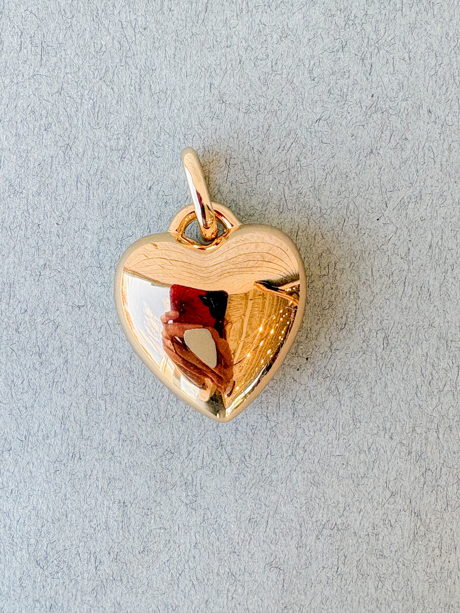 Aurelie Clip Charm: 14k Gold Plated