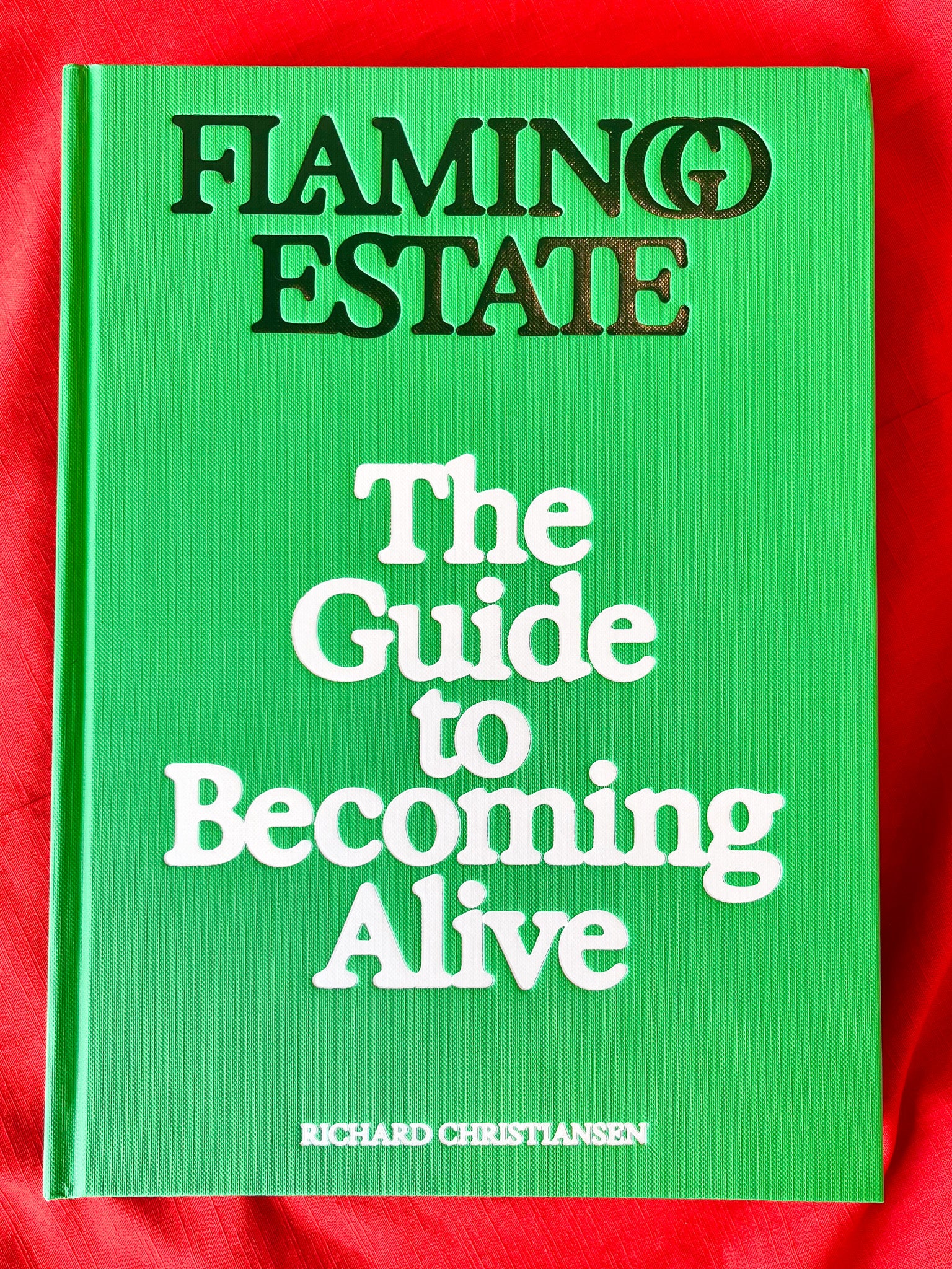 The Guide to Becoming Alive Book