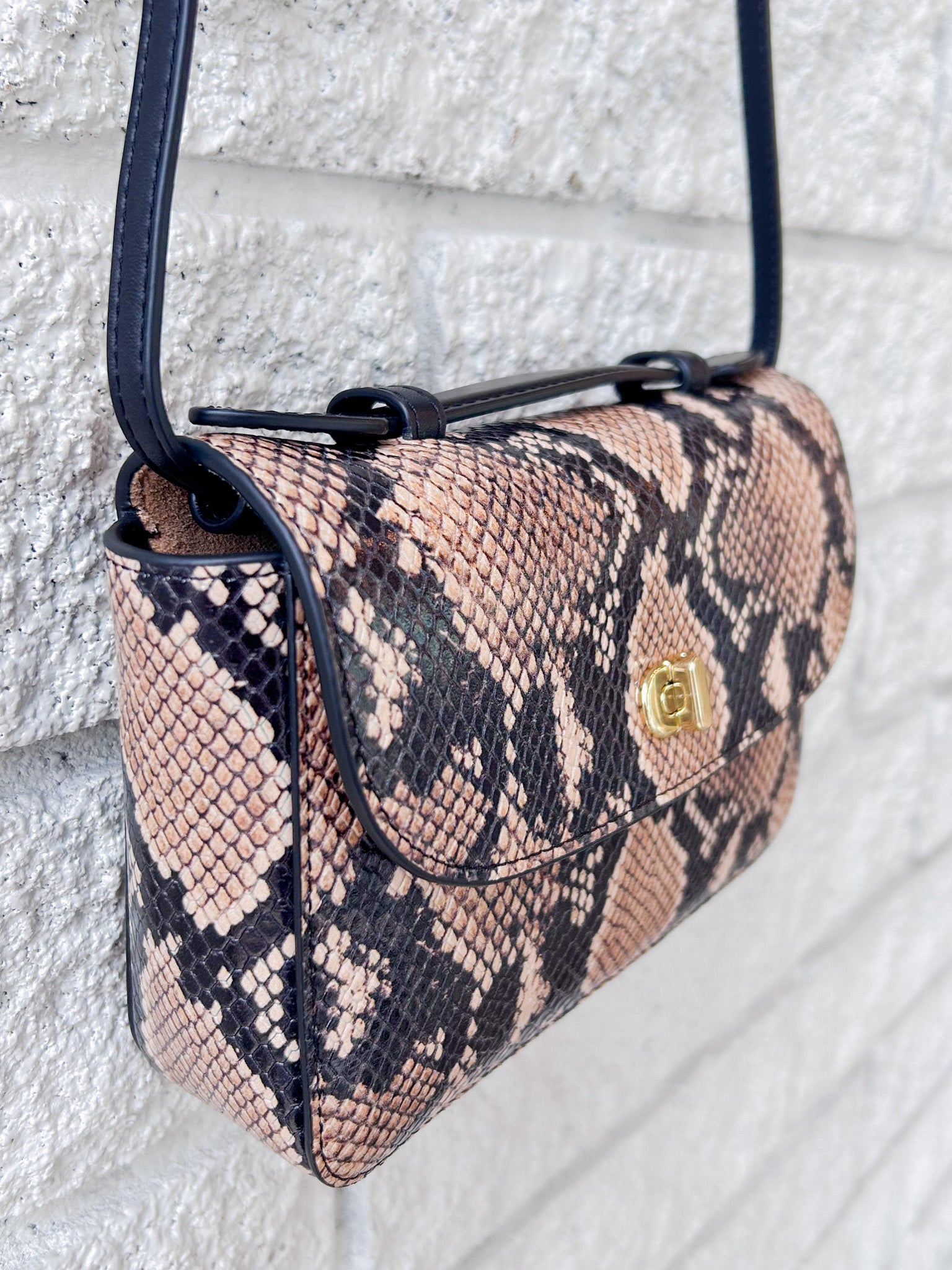 Kathryn- Desert Snake