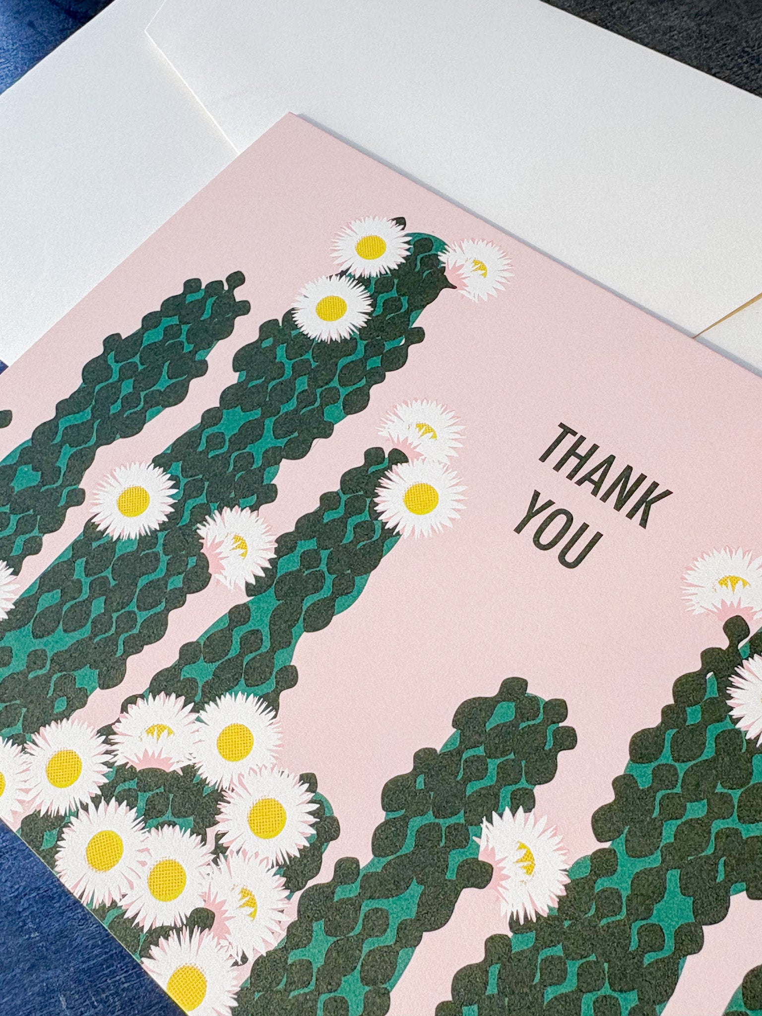 Cacti Thank You Note Boxed Set