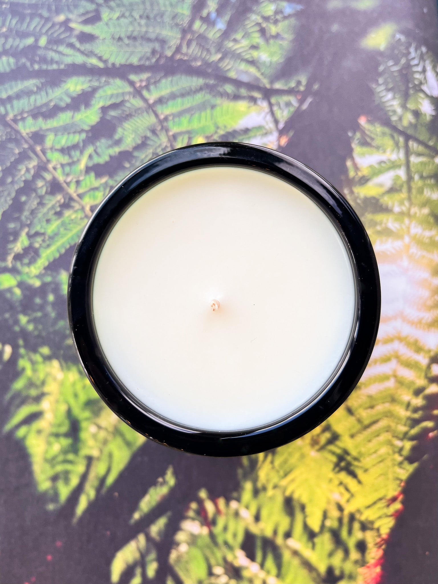 Adriatic Muscatel Sage Candle 8 Oz