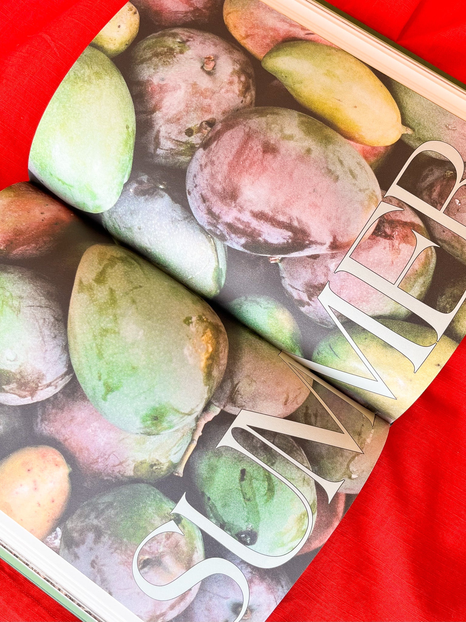 Friday From the Garden Cookbook
