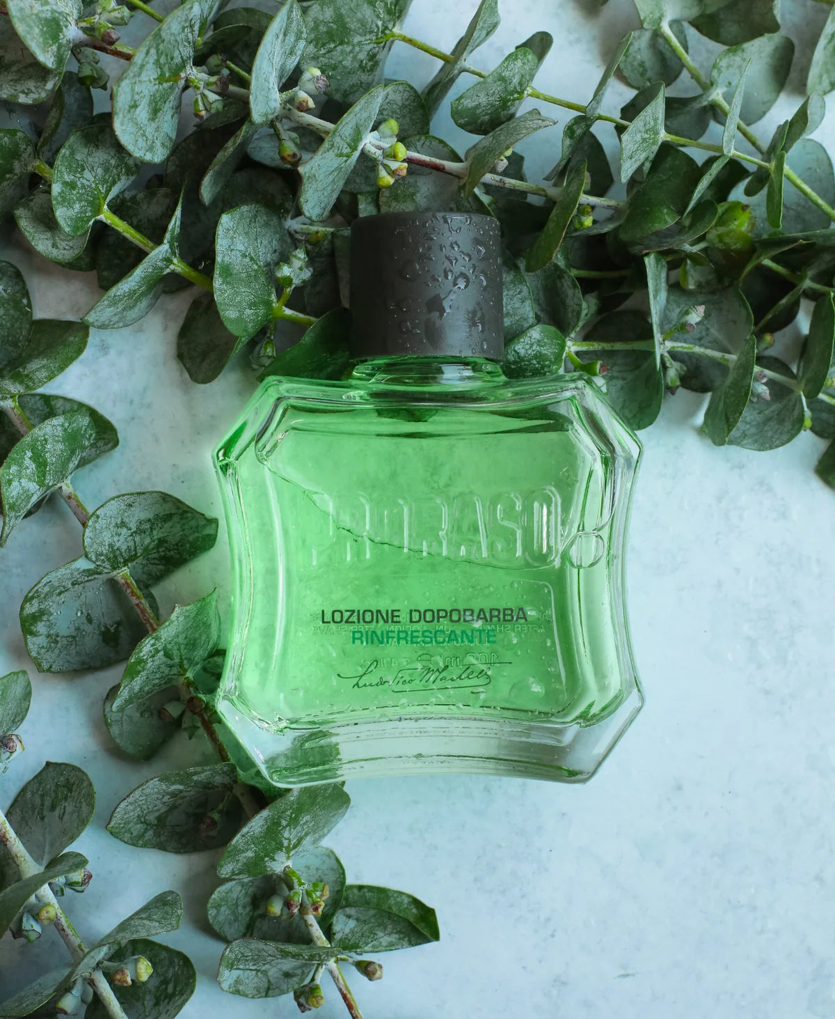 Proraso Aftershave Lotion Refreshing