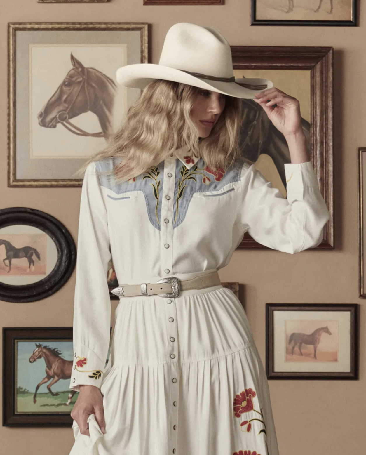 The Western Narrow Belt