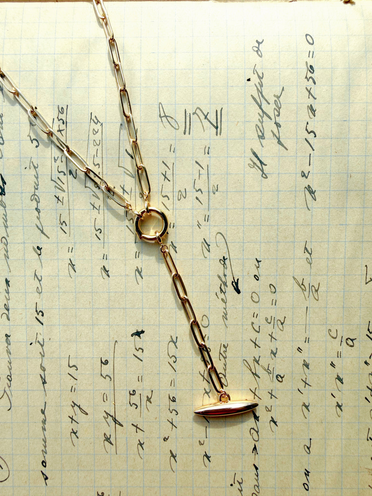 Finn Paperclip Toggle Lariat Necklace: 14k Gold Plated