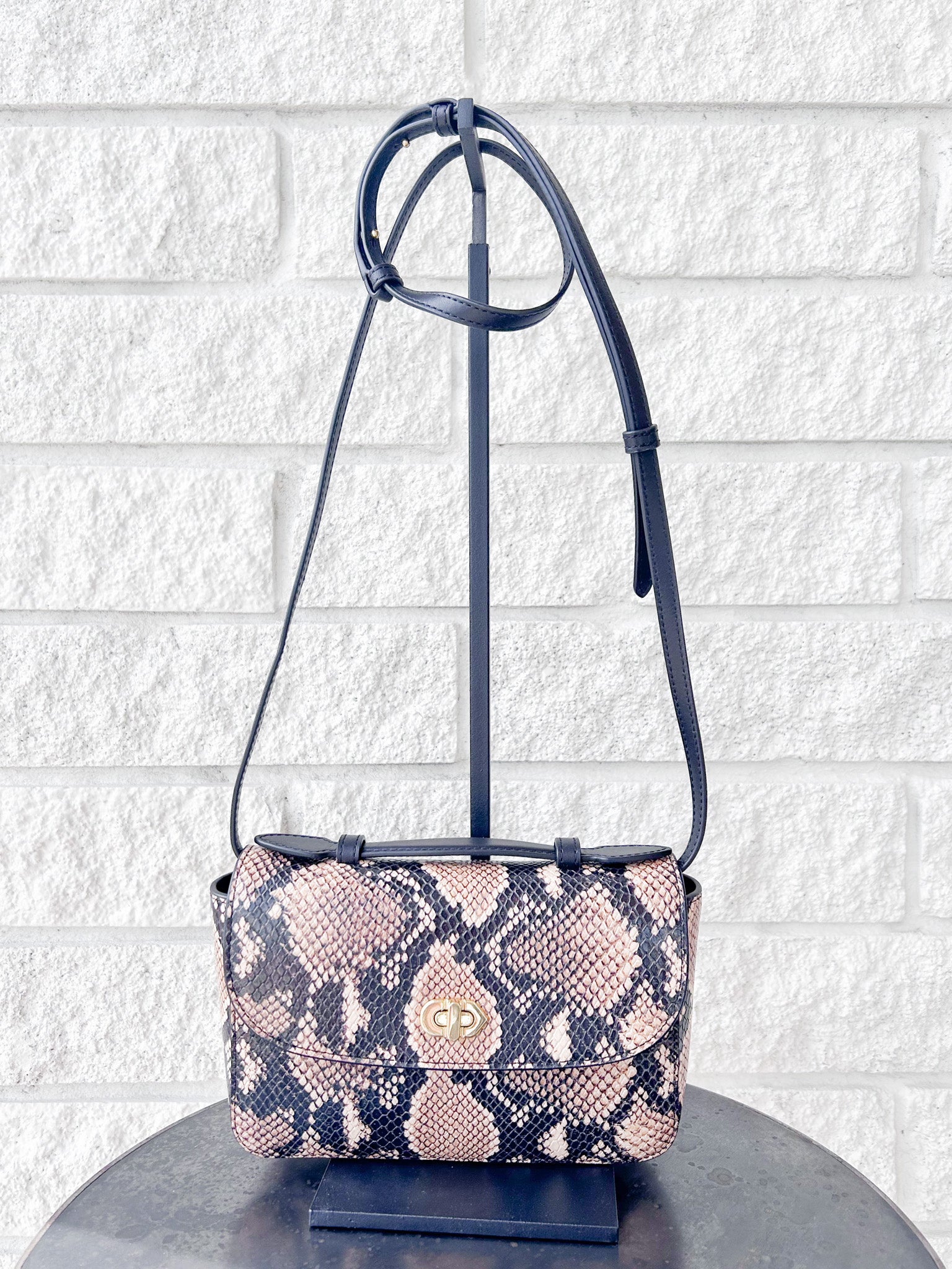 Kathryn- Desert Snake