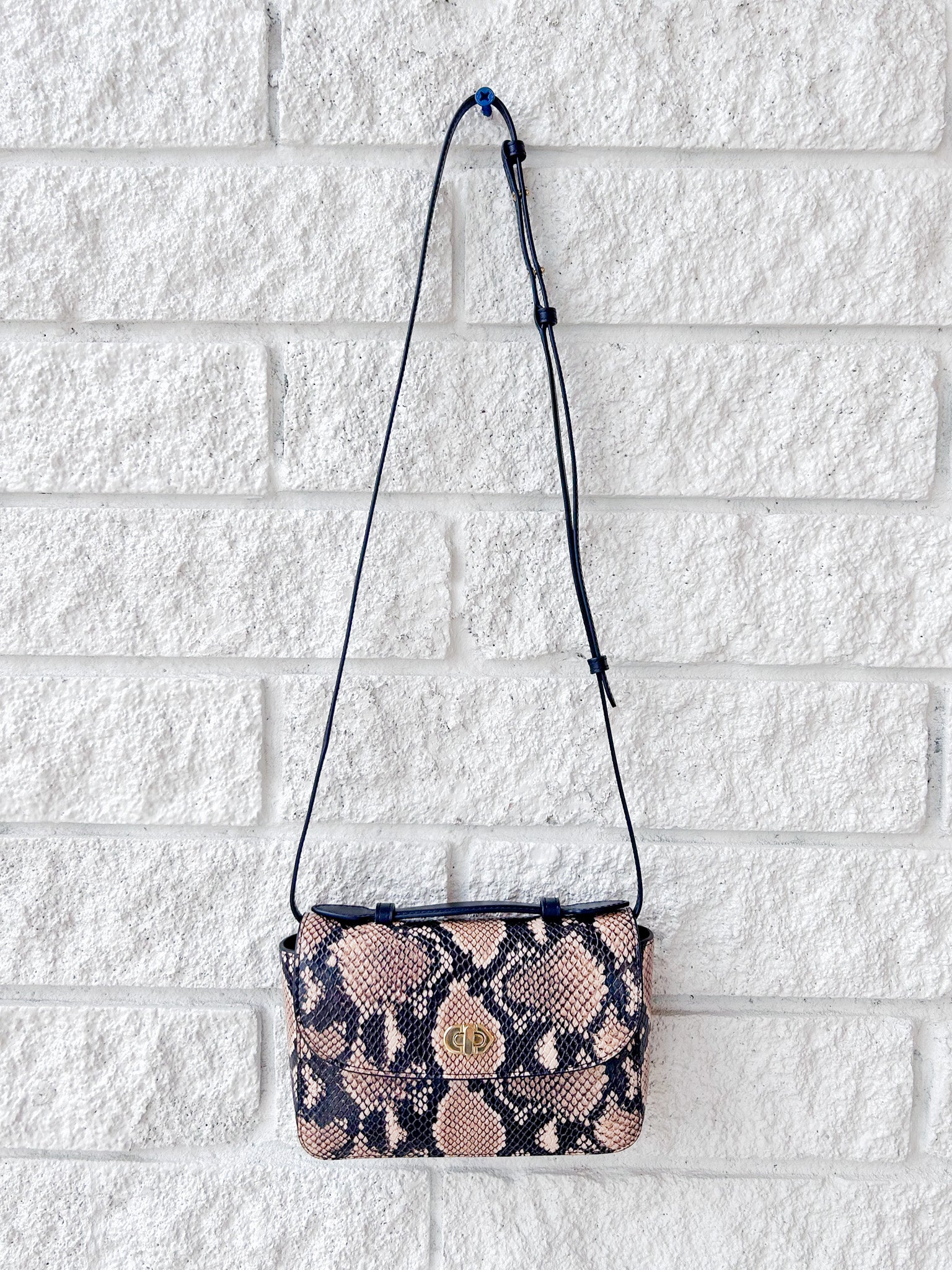 Kathryn- Desert Snake